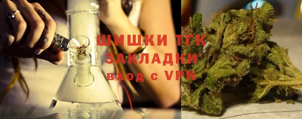 молекула духа Краснослободск
