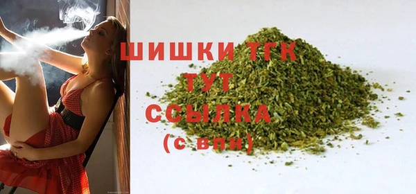 молекула духа Краснослободск