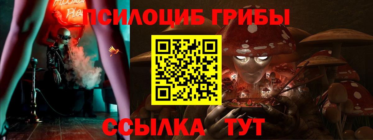 Галлюциногенные грибы Cubensis Минеральные Воды